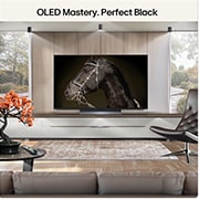 oled mastery. perfect black
