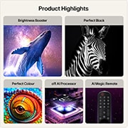 Highlights
