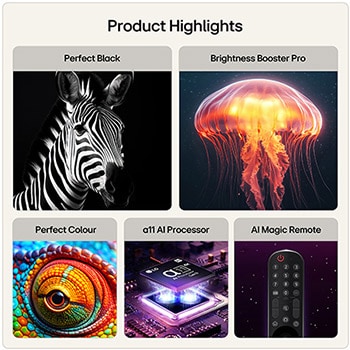 48 Inch LG OLED evo AI G6 4K Smart TV 2026