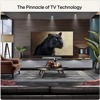 48 Inch LG OLED evo AI G6 4K Smart TV 2026