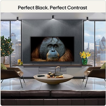 Perect Contrast
