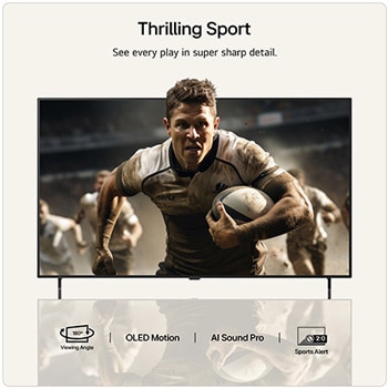 Sport