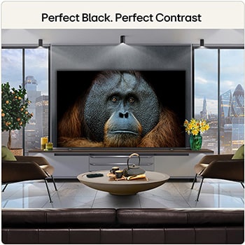 LG OLED AI B6E is wall-mounted in a styled living space, featuring an ultra-slim design with narrow bezels, and it displays a rainbow-toned landscape with layered mountain forms on screen.