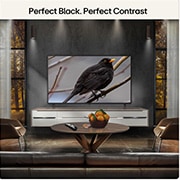 55 Inch LG OLED AI B6E 4K Smart TV 2026
