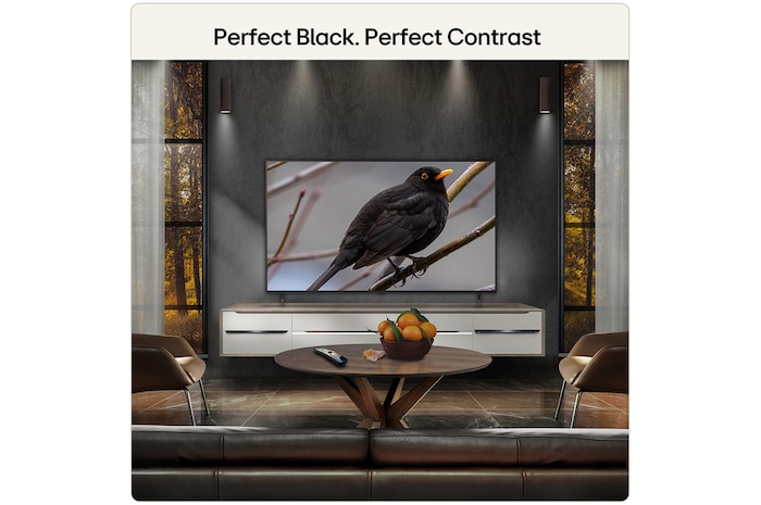 55 Inch LG OLED AI B6E 4K Smart TV 2026