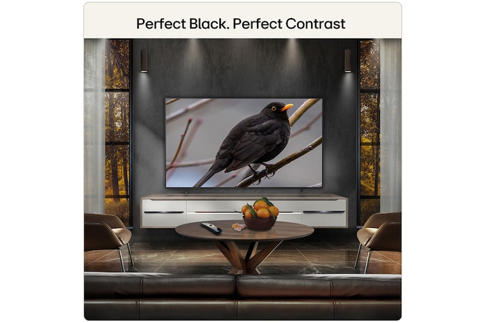 65 Inch LG OLED AI B6E 4K Smart TV 2026