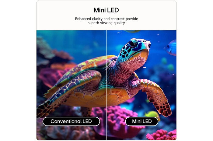 LG 50 inch LG QNED evo AI QNED8E Mini LED 4K Smart TV 2026, 50QNED8EB3F