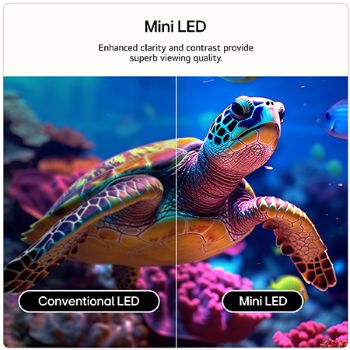 LG QNED evo AI QNED80 Mini LED highlights how its Mini LED reveals sharper rock textures and clearer ocean detail than conventional LED in a split coastal cliff scene, delivering deeper blacks and more refined contrast for greater clarity and depth.
