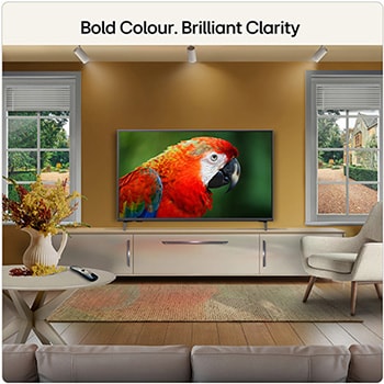43 inch LG QNED evo AI QNED81 Mini LED 4K Smart TV 2026