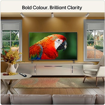 50 inch LG QNED evo AI QNED81 Mini LED 4K Smart TV 2026