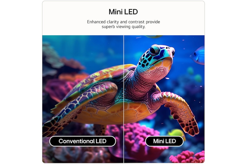 50 inch LG QNED evo AI QNED81 Mini LED 4K Smart TV 2026