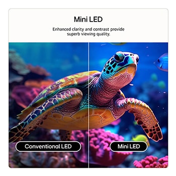 LG QNED evo AI QNED83 Mini LED with AI Picture Pro and Dynamic Tone Mapping Pro shows an underwater scene of a sea turtle gliding above coral and fish, as AI recognizes and upscales each frame up to 4K resolution.