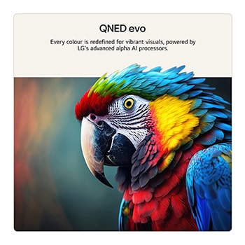 85 inch LG QNED evo AI QNED83 Mini LED 4K Smart TV 2026