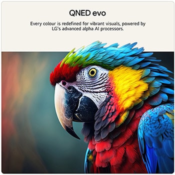 43 inch LG QNED evo AI QNED86 Mini LED 4K Smart TV 2026