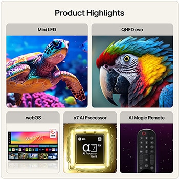 LG 43 inch LG QNED evo AI QNED80 Mini LED 4K Smart TV 2026, 43QNED87B6A