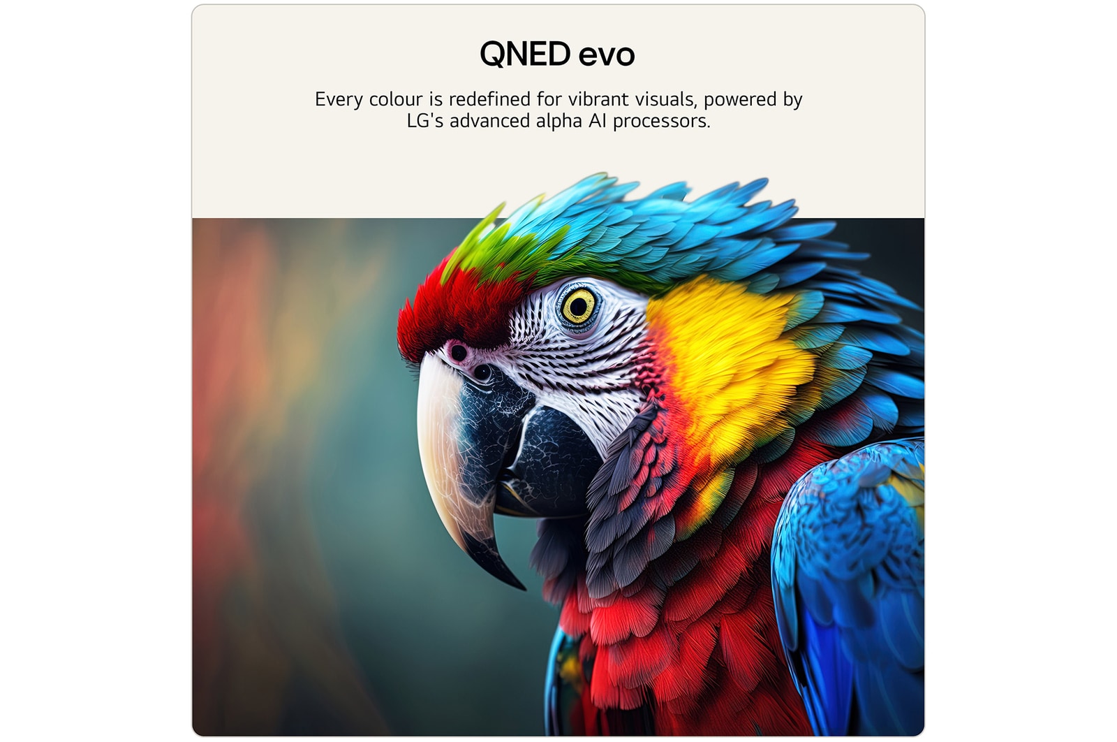 LG QNED evo AI QNED85 Mini LED with AI Picture Pro and Dynamic Tone Mapping Pro shows a low-angle outdoor lifestyle scene with two people among vivid flowers, as AI recognizes and upscales each frame to 4K for clearer texture and detail.