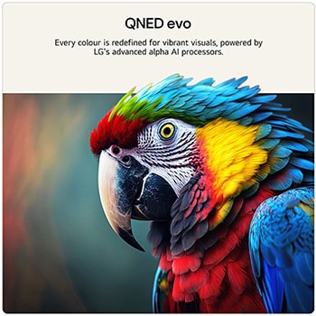 LG 50 inch LG QNED evo AI QNED87 Mini LED 4K Smart TV 2026, 50QNED87B6A