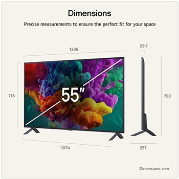 LG QNED evo AI QNED85 Mini LED with Dynamic QNED Color Pro fills the screen with vivid, fluid bursts of multicolored, paint-like motion, showcasing enhanced color vibrancy certified for 100% Color Volume.