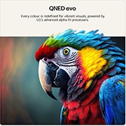 75 inch LG QNED evo AI QNED86 Mini LED 4K Smart TV 2026