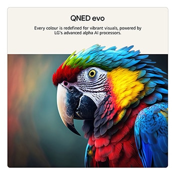 86 inch LG QNED evo AI QNED86 Mini LED 4K Smart TV 2026