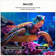 LG 55 inch LG QNED AI QNED7E Mini LED 4K Smart TV 2026, 55QNED7EB3C