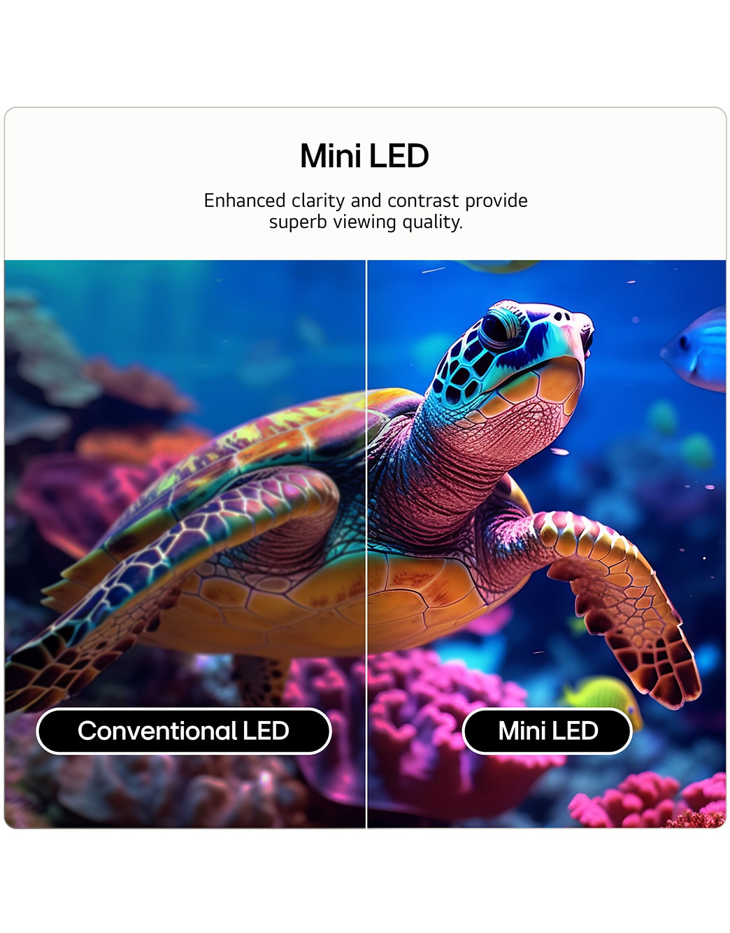 Lg 65 Inch Mini Led 65 inch LG QNED AI Mini LED QNED7E 4K Smart TV - 65QNED7EB3C | LG UK