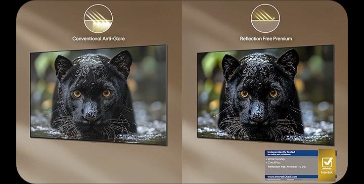 A visual showing a dark-to-bright background while a black puma remains clear, demonstrating Reflection Free Premium on LG OLED evo W6.