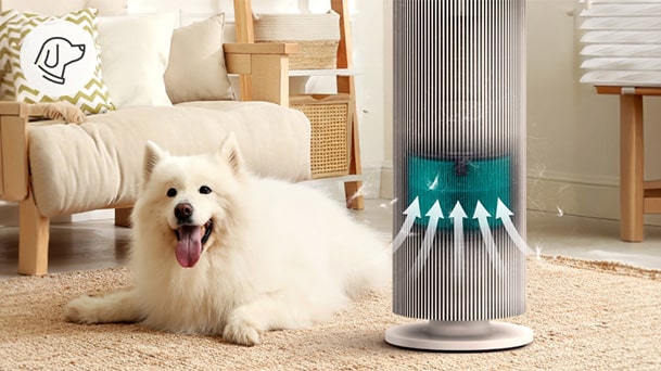 Chó nằm nghỉ bên cạnh máy lọc không khí LG đang hoạt động ở Pet Mode