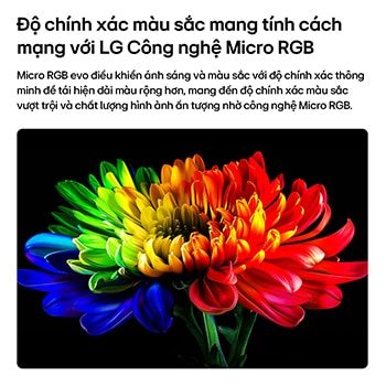 LG Micro RGB evo AI MRGB95, powered by RGB Primary Color Ultra, shows a flower image on the screen, with precisely controlled red, green, and blue light from distinct Micro RGB engines for balanced color and refined contrast. 