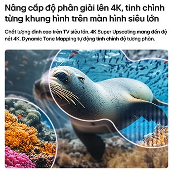 LG NANO 4K UHD AI NU85 with 4K Super Upscaling and Dynamic Tone Mapping shows an underwater scene of a sea lion, as AI recognizes and upscales each frame up to 4K resolution.
