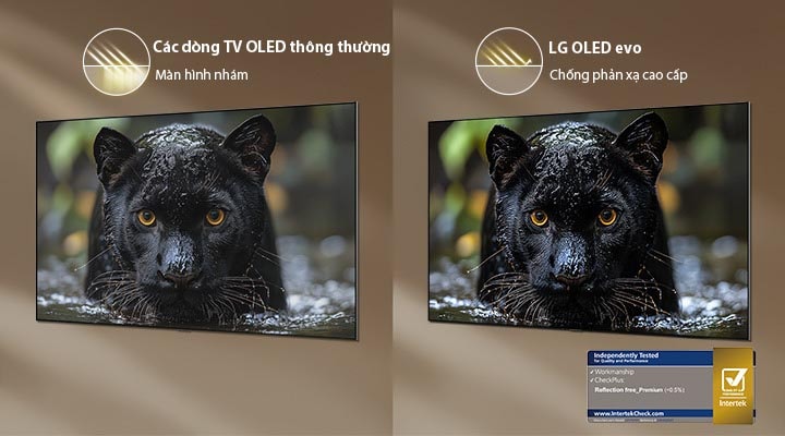 TV mỏng dán tường LG OLED evo AI W6 cùng chứng nhận Reflection-Free Premium hiển thị màn hình so sánh trực tiếp với màn hình nhám chống chói thông thường. Hình ảnh chú báo đen hiện lên sắc nét với sắc đen sâu thẳm và từng chi tiết kết cấu bộ lông mịn màng ngay cả trong môi trường ánh sáng mạnh, dấu chứng nhận của Intertek.