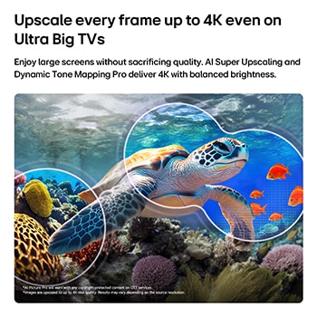 LG QNED evo AI QNED82 Mini LED with AI Picture Pro and Dynamic Tone Mapping Pro shows an underwater scene of a sea turtle gliding above coral and fish, as AI recognizes and upscales each frame up to 4K resolution.