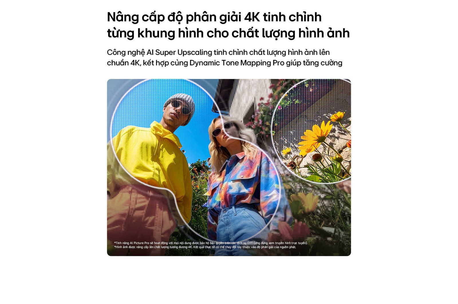 LG QNED evo AI QNED82 Mini LED with AI Picture Pro and Dynamic Tone Mapping Pro shows a low-angle outdoor lifestyle scene with two people among vivid flowers, as AI recognizes and upscales each frame to 4K for clearer texture and detail.