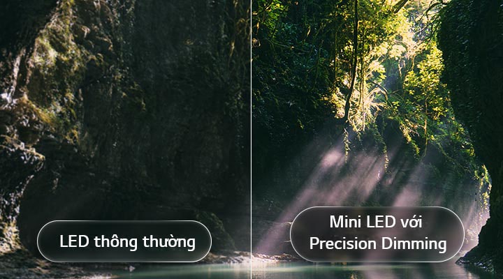 LG QNED evo AI QNED85 Mini LED làm nổi bật Mini LED với Precision Dimming qua hình ảnh chia đôi màn hình cảnh khu rừng, khi ánh nắng xuyên qua tán cây, so sánh trực quan giữa LED thông thường và Mini LED với màu đen sâu hơn, độ tương phản tinh tế hơn, mang đến độ rõ nét và chiều sâu hình ảnh vượt trội.