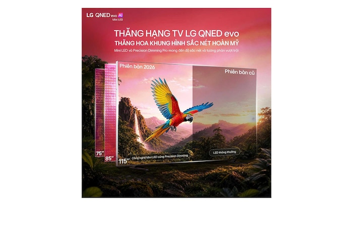 TV 4K LG QNED evo AI QNED80 Mini LED 2026 75 inch