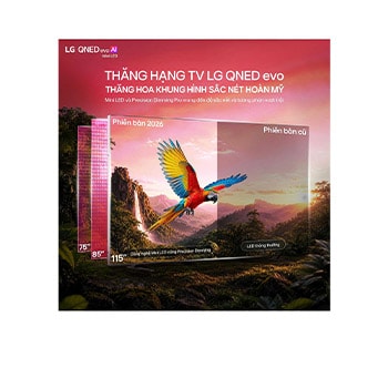 TV 4K LG QNED evo AI QNED80 Mini LED 2026 75 inch