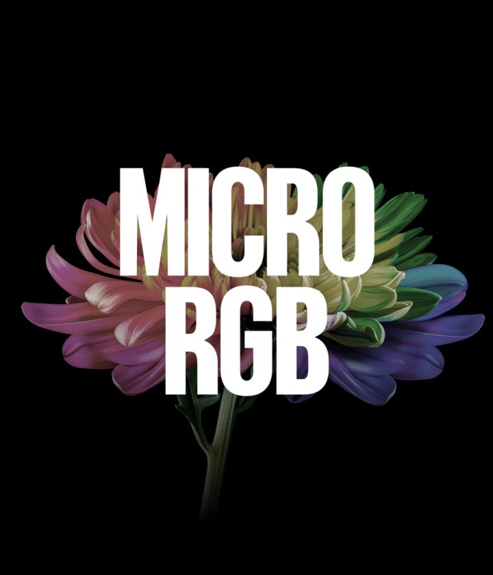 LG Micro RGB evo TV với Công nghệ Micro RGB biến một bông hoa xỉn màu trở nên sống động khi văn bản Micro RGB evo xuất hiện, tiếp theo là chùm ánh sáng RGB dọc phát triển thành hình ảnh tinh thể trước khi biến thành màn hình TV, nêu bật USP chính của nó.