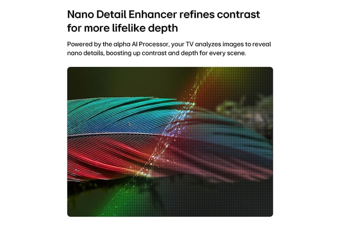 LG NANO 4K UHD AI NU85 with Nano Detail Enhancer shows a feather image, powered by the alpha AI Processor that detects fine textures to enhance contrast and depth and deliver a clearer, more three-dimensional 4K picture.
