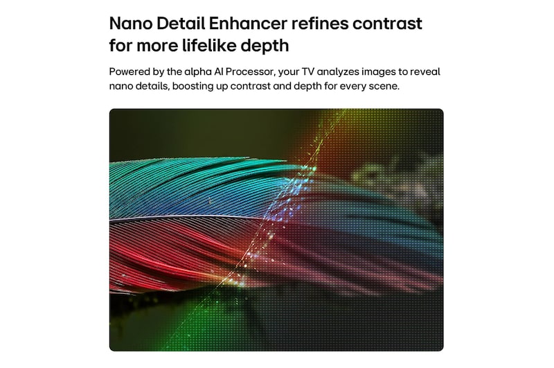 LG NANO 4K UHD AI NU85 with Nano Detail Enhancer shows a feather image, powered by the alpha AI Processor that detects fine textures to enhance contrast and depth and deliver a clearer, more three-dimensional 4K picture.