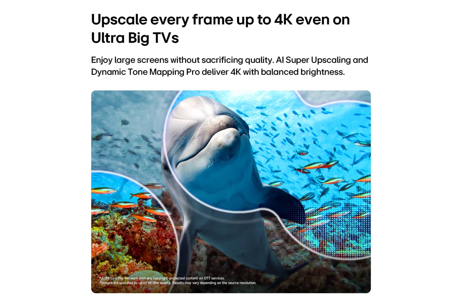 LG NANO 4K UHD AI NU85 with AI Super Upscaling and Dynamic Tone Mapping Pro shows an underwater scene of a dolphin swimming among coral and fish, as AI recognizes and upscales each frame up to 4K resolution.