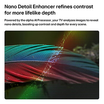 LG NANO 4K UHD AI NU85 with Nano Detail Enhancer shows a feather image, powered by the alpha AI Processor that detects fine textures to enhance contrast and depth and deliver a clearer, more three-dimensional 4K picture.