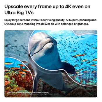 LG NANO 4K UHD AI NU85 with AI Super Upscaling and Dynamic Tone Mapping Pro shows an underwater scene of a dolphin swimming among coral and fish, as AI recognizes and upscales each frame up to 4K resolution.
