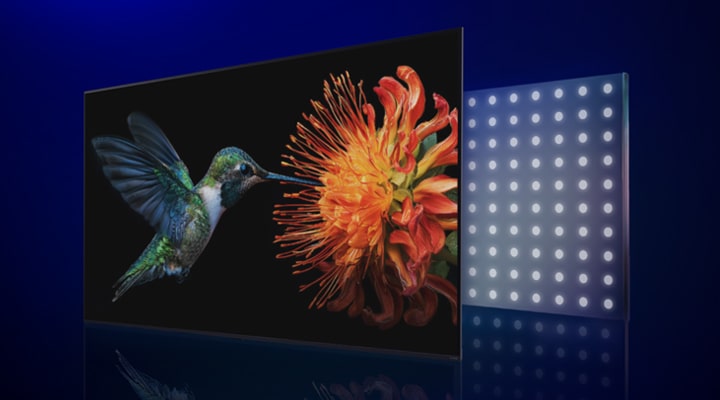 LG QNED evo AI QNED85 Mini LED with Mini LED and Precision Dimming Pro shows a bird taking nectar from a flower, comparing it with conventional LED, showing deeper blacks, clearer contrast detail, and improved clarity.
