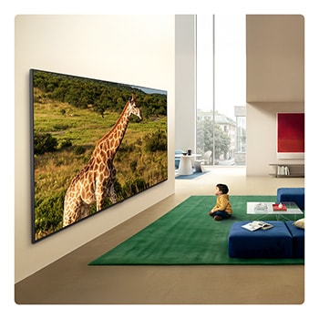 LG QNED evo AI QNED85 Mini LED Ultra Big TV design is wall-mounted in a bright living space, displaying a giraffe in a natural landscape with vivid detail that emphasizes immersive scale and presence for a child seated nearby.