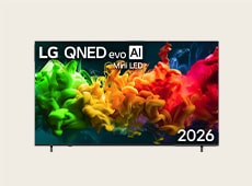 LG QNED evo AI Mini LED QNED80 displaying colorful and vivid visuals on its screen that showcase its picture quality.