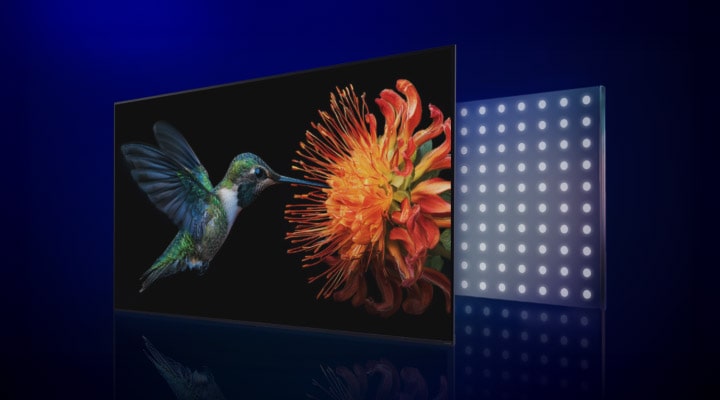 LG QNED evo AI Mini LED with Precision Dimming Ultra shows a hummingbird with an flower on screen alongside a panel of finely spaced Mini LED lights, illustrating a transition to brighter highlights and stronger contrast.