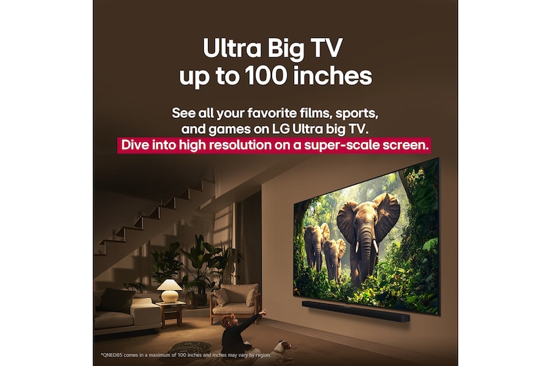 Ein Mädchen und ein Hund sitzen vor einem LG QNED TV, der an einer Wand montiert ist und drei Elefanten zeigt, die über einem LG Soundbar nach außen laufen. Der Titel spricht davon, dass jede Aktion auf einer großen Leinwand noch spannender ist.