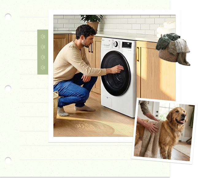Mann, der Wäsche in eine washing machine lädt, während ein golden retriever in einem warmen Wohninterieur danebensteht