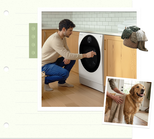 Mann, der Wäsche in eine washing machine lädt, während ein golden retriever in einem warmen Wohninterieur danebensteht