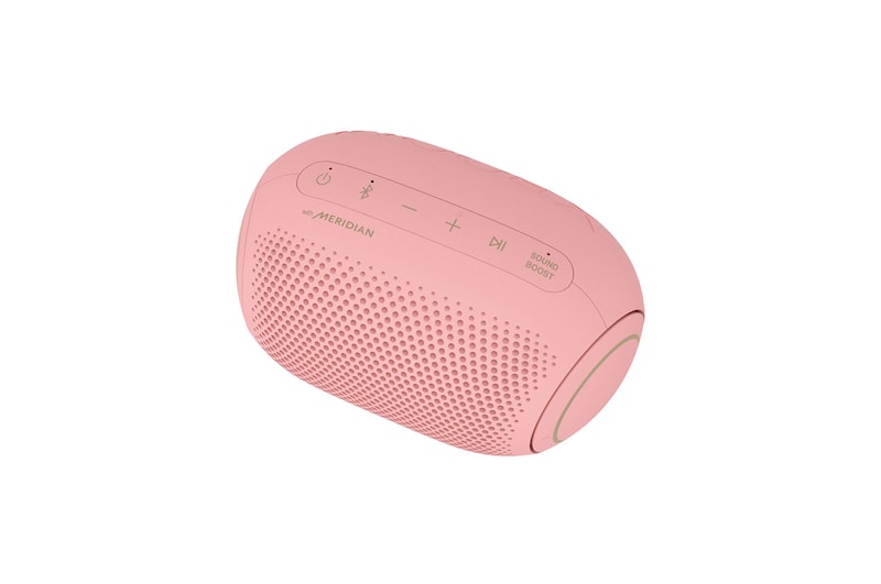 LG XBOOMGo PL2P Bluetooth Speaker, PL2P